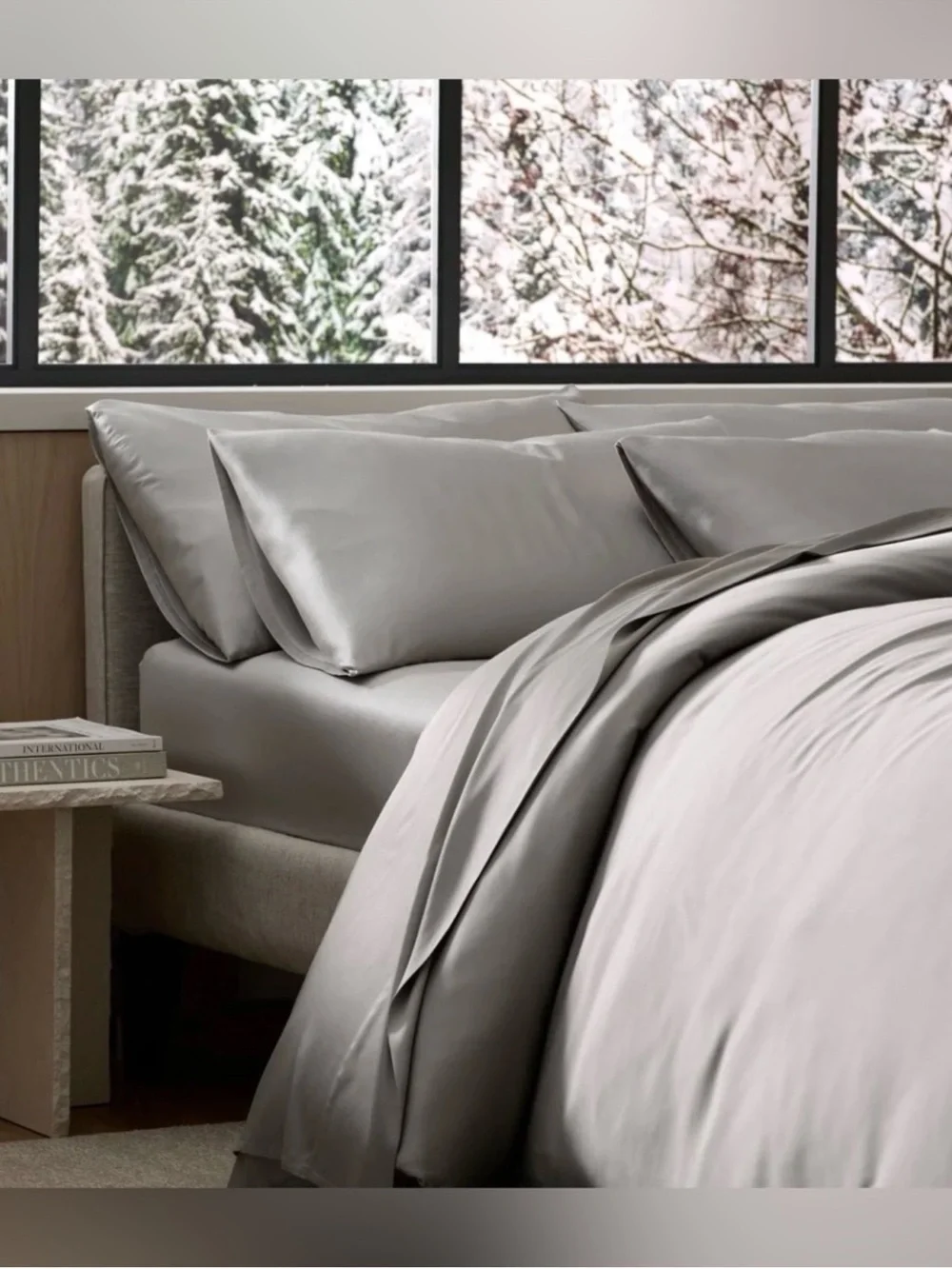 Cozy Earth King Pillow Case Bamboo Viscose Set of 2 Luxury in Light Gray 20x38